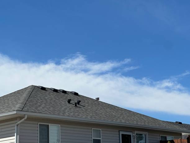 Best Rubber Roofing (EPDM, TPO)  in Poipu, HI